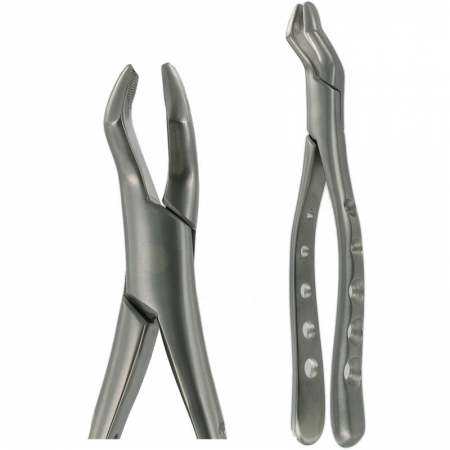 American Pattern Forceps